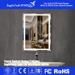 LED Intelligent Mirror (Square)