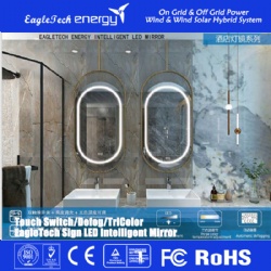 LED Intelligent Mirror (Round)